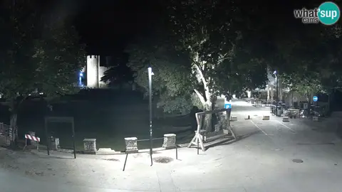 Park: widok z kamery