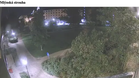 Park: widok z kamery