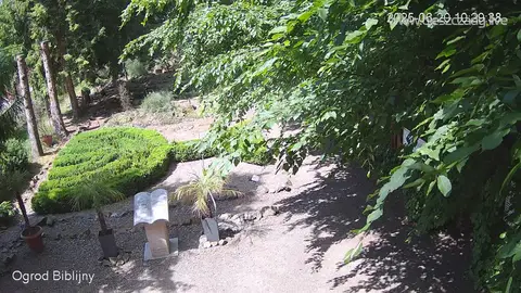 Ogród biblijny: widok z kamery
